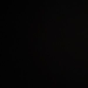 Mustard Bermuda Shorts